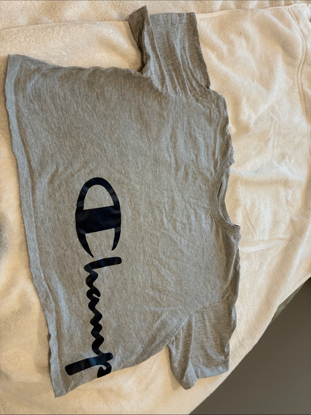 Champion Gray Tee with Navy Script Logo